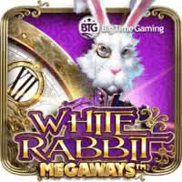 White Rabbit